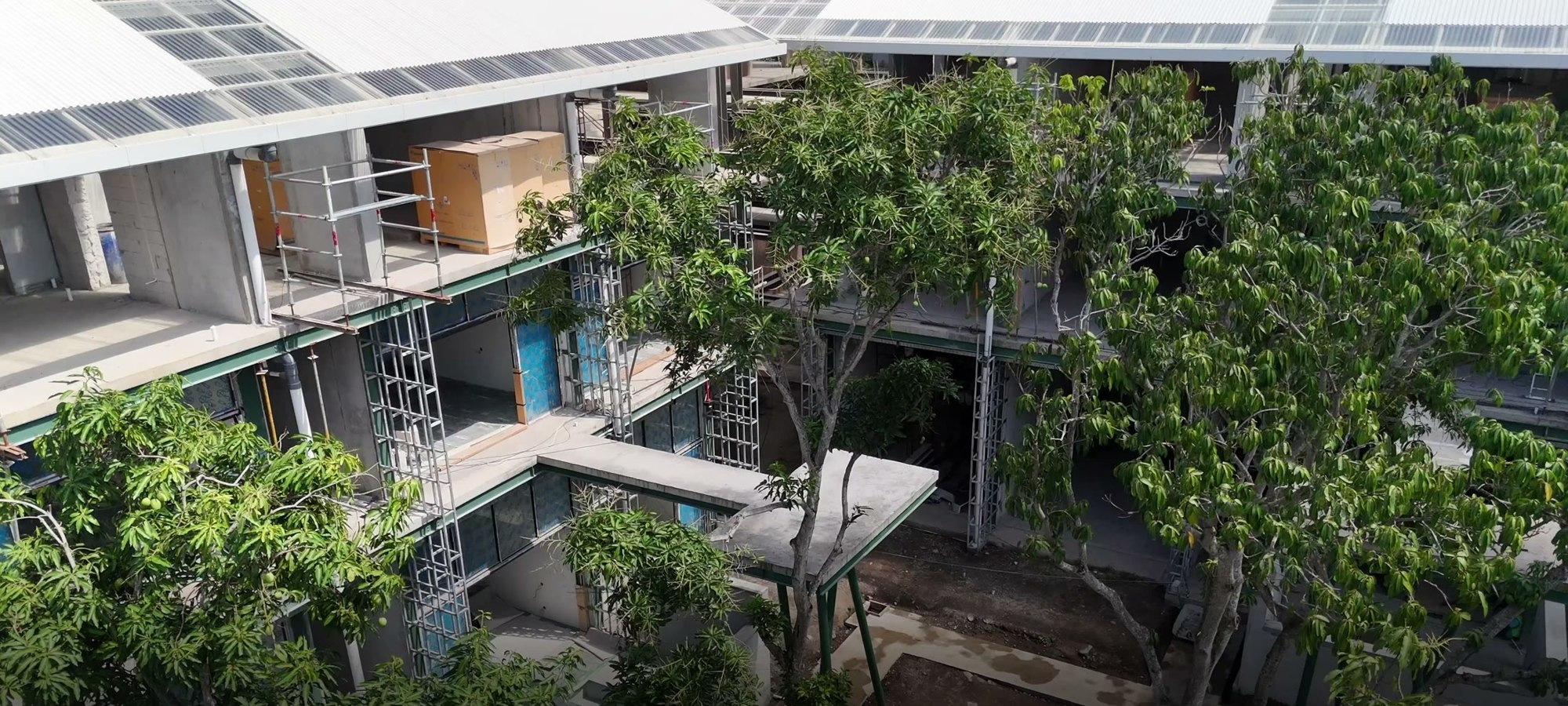 Construction progress: blocks among the greenery